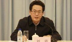 刘震最新爆料视频,事件背后惊人真相