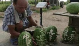 林州吃瓜网红爆料事件,揭秘背后真相与网络舆论风暴